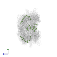 (3S,5R,6S,3'S,5'R,6'S)-5,6,5',6'-DIEPOXY-5,6,5',6'- TETRAHYDRO-BETA,BETA-CAROTENE-3,3'-DIOL in PDB entry 7pin, assembly 1, side view.