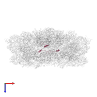 Photosystem II reaction center protein L in PDB entry 7piw, assembly 1, top view.