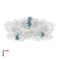 PsbP in PDB entry 7piw, assembly 1, top view.