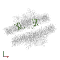 CP29 in PDB entry 7piw, assembly 1, front view.