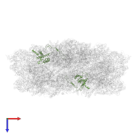 CP29 in PDB entry 7piw, assembly 1, top view.