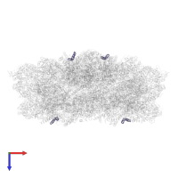 Photosystem II reaction center protein Ycf12 in PDB entry 7piw, assembly 1, top view.