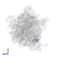 Large ribosomal subunit protein bL19 in PDB entry 7pjs, assembly 1, side view.