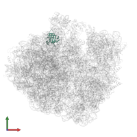 Large ribosomal subunit protein bL25 in PDB entry 7pjs, assembly 1, front view.