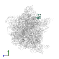 Large ribosomal subunit protein bL25 in PDB entry 7pjs, assembly 1, side view.