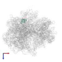 Large ribosomal subunit protein bL25 in PDB entry 7pjs, assembly 1, top view.