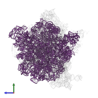 23S ribosomal RNA in PDB entry 7pjs, assembly 1, side view.