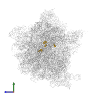 Modified residue 2MG in PDB entry 7pjs, assembly 1, side view.