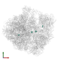 Modified residue 5MC in PDB entry 7pjs, assembly 1, front view.