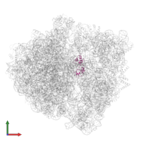 Large ribosomal subunit protein uL11 in PDB entry 7pjt, assembly 1, front view.