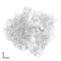 Messenger RNA in PDB entry 7pjt, assembly 1, front view.