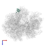 Large ribosomal subunit protein bL25 in PDB entry 7pjv, assembly 1, top view.