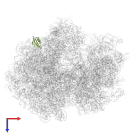 Large ribosomal subunit protein uL30 in PDB entry 7pjv, assembly 1, top view.