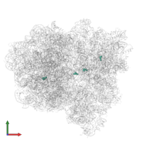 Modified residue 5MC in PDB entry 7pjv, assembly 1, front view.