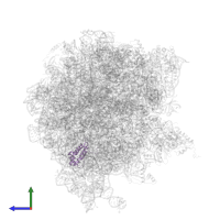 Large ribosomal subunit protein bL17 in PDB entry 7pjx, assembly 1, side view.