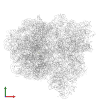 Dipeptide (FME-PHE) in PDB entry 7pjx, assembly 1, front view.