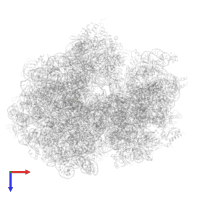 Dipeptide (FME-PHE) in PDB entry 7pjx, assembly 1, top view.