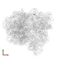 50S ribosomal protein L31 in PDB entry 7pjx, assembly 1, front view.