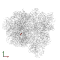 Modified residue 1MG in PDB entry 7pjx, assembly 1, front view.