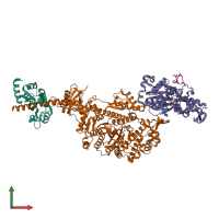 PDB entry 7plx coloured by chain, front view.