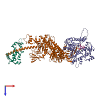 PDB entry 7plx coloured by chain, top view.