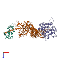 PDB entry 7pm0 coloured by chain, top view.