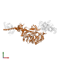 Unconventional myosin-Va in PDB entry 7pm0, assembly 1, front view.