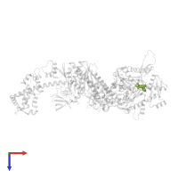 ADENOSINE-5'-DIPHOSPHATE in PDB entry 7pm2, assembly 1, top view.