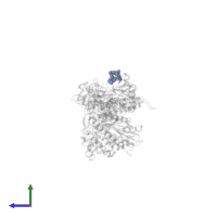 Jasplakinolide in PDB entry 7pm2, assembly 1, side view.