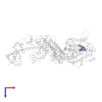 Jasplakinolide in PDB entry 7pm2, assembly 1, top view.