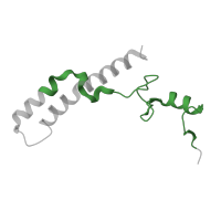 The deposited structure of PDB entry 7pnv contains 1 copy of Pfam domain PF00253 (Ribosomal protein S14p/S29e) in Small ribosomal subunit protein uS14m. Showing 1 copy in chain K.