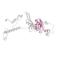 The deposited structure of PDB entry 7pnv contains 1 copy of Pfam domain PF03719 (Ribosomal protein S5, C-terminal domain) in Small ribosomal subunit protein uS5m. Showing 1 copy in chain D.