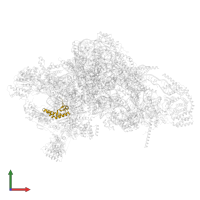 Small ribosomal subunit protein uS14m in PDB entry 7pnv, assembly 1, front view.