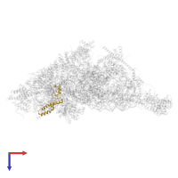 Small ribosomal subunit protein uS14m in PDB entry 7pnv, assembly 1, top view.