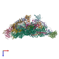 Hetero 31-meric assembly 1 of PDB entry 7pnw coloured by chemically distinct molecules, top view.