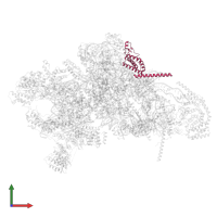 Small ribosomal subunit protein uS15m in PDB entry 7pnw, assembly 1, front view.