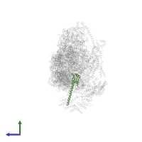 Small ribosomal subunit protein bS16m in PDB entry 7pnw, assembly 1, side view.