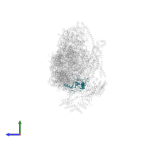 Small ribosomal subunit protein mS40 in PDB entry 7pnw, assembly 1, side view.