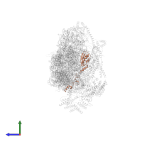 Small ribosomal subunit protein mS25 in PDB entry 7pnw, assembly 1, side view.