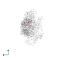 Small ribosomal subunit protein mS29 in PDB entry 7pnw, assembly 1, side view.