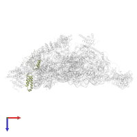 Small ribosomal subunit protein mS31 in PDB entry 7pnw, assembly 1, top view.