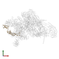 Small ribosomal subunit protein mS35 in PDB entry 7pnw, assembly 1, front view.