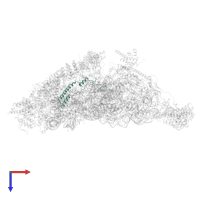 Small ribosomal subunit protein mS37 in PDB entry 7pnw, assembly 1, top view.