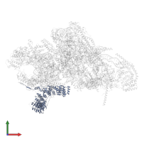 Small ribosomal subunit protein mS39 in PDB entry 7pnw, assembly 1, front view.