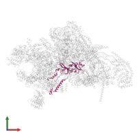 Small ribosomal subunit protein uS5m in PDB entry 7pnw, assembly 1, front view.