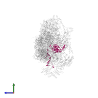 Small ribosomal subunit protein uS5m in PDB entry 7pnw, assembly 1, side view.