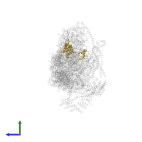 Small ribosomal subunit protein uS7m in PDB entry 7pnw, assembly 1, side view.