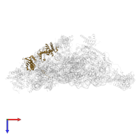 Small ribosomal subunit protein uS9m in PDB entry 7pnw, assembly 1, top view.