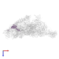 Small ribosomal subunit protein uS10m in PDB entry 7pnw, assembly 1, top view.