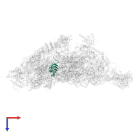 Small ribosomal subunit protein uS11m in PDB entry 7pnw, assembly 1, top view.